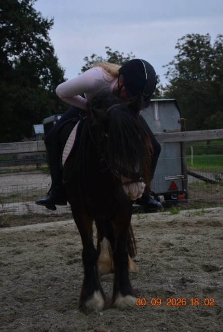 Een ruiter buigt naar een donkere pony in de buitenrijbaan.