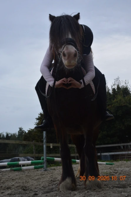Een ruiter maakt een hartje met de handen voor een donkere pony.